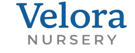 Velora Nursery